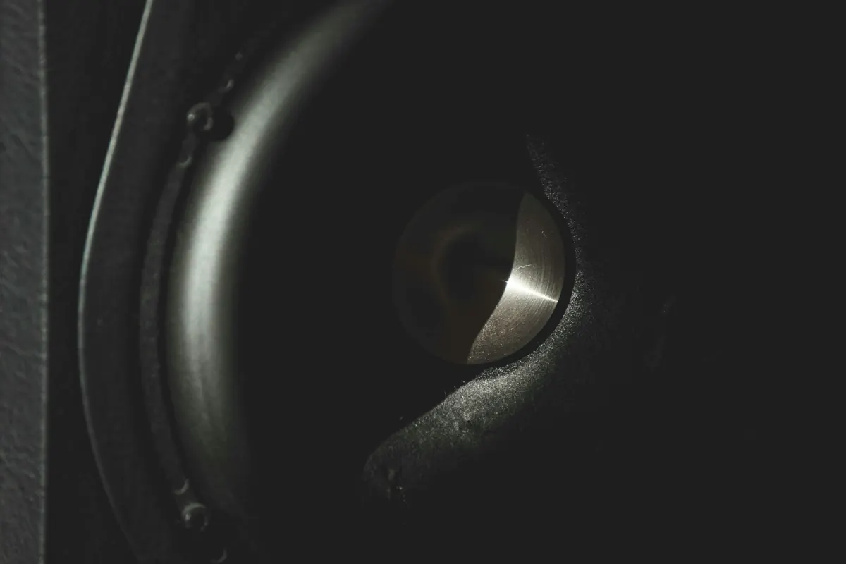 Loudspeaker driver and phase plug emerging from deep shadow